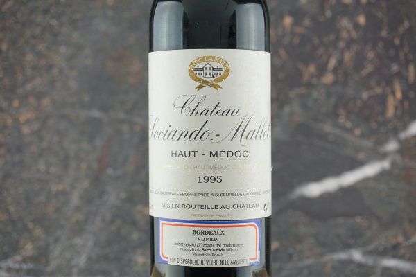 Château Sociando Mallet 1995  - Asta Smart Wine 2.0 | Click & Drink - Associazione Nazionale - Case d'Asta italiane