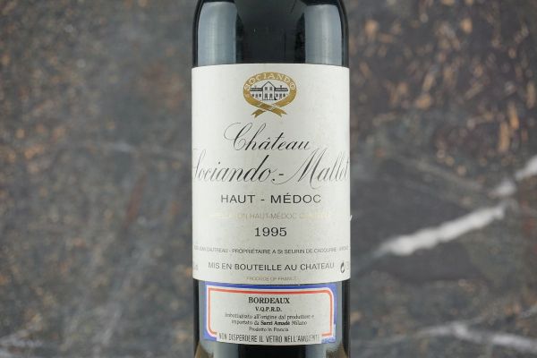 Ch&acirc;teau Sociando Mallet 1995  - Asta Smart Wine 2.0 | Click & Drink - Associazione Nazionale - Case d'Asta italiane