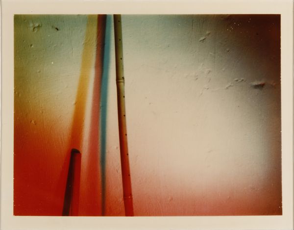 AUTORE NON IDENTIFICATO : Lotto composto da n.2 fotografie. Tutto luce.  - Asta Asta 394 | ARTE MODERNA E CONTEMPORANEA Virtuale - Associazione Nazionale - Case d'Asta italiane