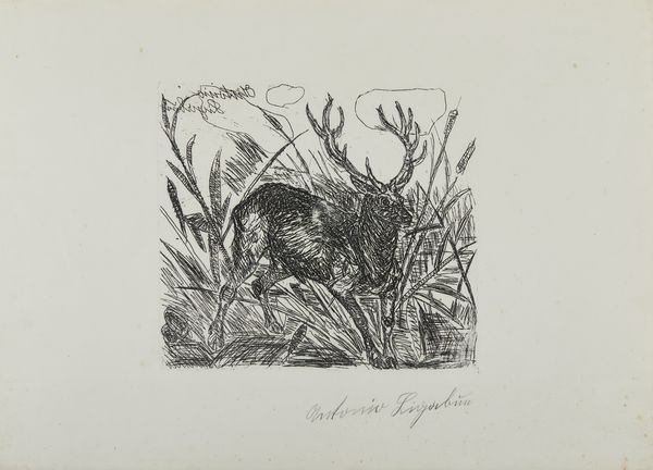 LIGABUE ANTONIO  (1899 - 1965) : D'apres. Senza titolo.  - Asta Asta 394 | ARTE MODERNA E CONTEMPORANEA Virtuale - Associazione Nazionale - Case d'Asta italiane