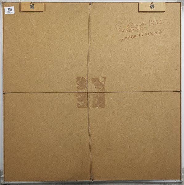 PATELLI PAOLO (n. 1934) : Natura in scatola.  - Asta Asta 394 | ARTE MODERNA E CONTEMPORANEA Virtuale - Associazione Nazionale - Case d'Asta italiane