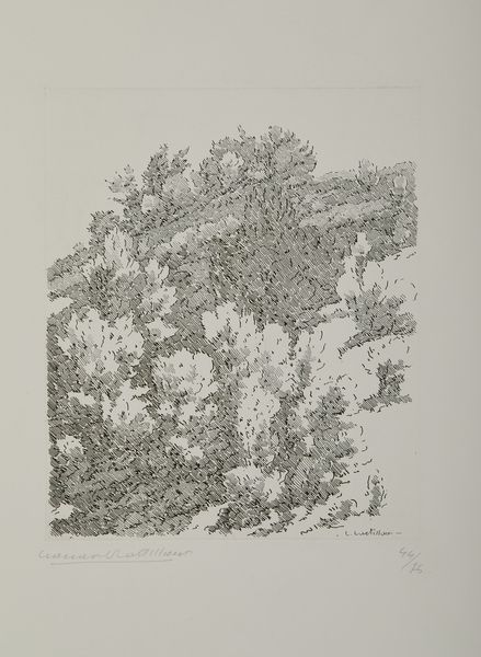 CASTELLANI LEONARDO (1896 - 1984) : Lotto composto da n. 2 fogli.  - Asta Asta 394 | ARTE MODERNA E CONTEMPORANEA Virtuale - Associazione Nazionale - Case d'Asta italiane