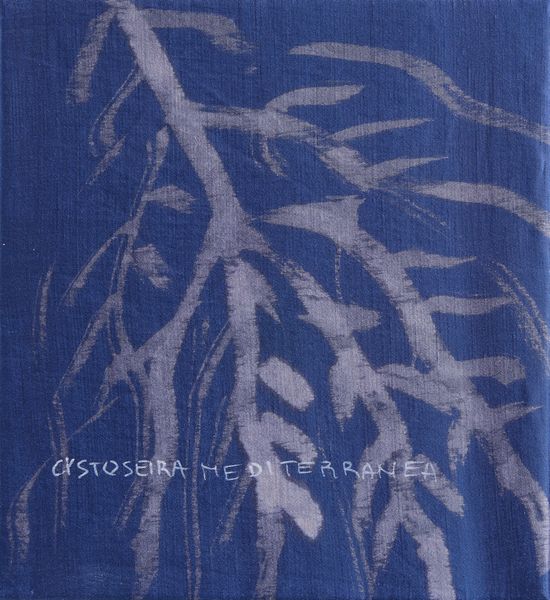 PISANI FRANCA (n. 1956) : Acqua e vento.  - Asta Asta 394 | ARTE MODERNA E CONTEMPORANEA Virtuale - Associazione Nazionale - Case d'Asta italiane