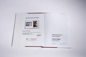 GALIMBERTI MAURIZIO (n. 1956) : ReadymadePolaroid Venezia.  - Asta Asta 394 | ARTE MODERNA E CONTEMPORANEA Virtuale - Associazione Nazionale - Case d'Asta italiane