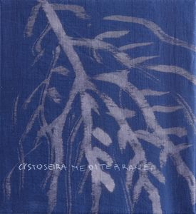 PISANI FRANCA (n. 1956) - Acqua e vento.