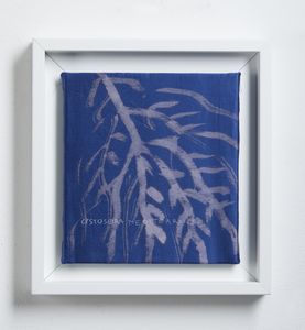 PISANI FRANCA (n. 1956) : Acqua e vento.  - Asta Asta 394 | ARTE MODERNA E CONTEMPORANEA Virtuale - Associazione Nazionale - Case d'Asta italiane