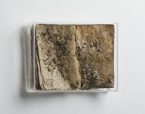 BALBO SEBASTIANO (n. 1956) : Borkman.  - Asta Asta 394 | ARTE MODERNA E CONTEMPORANEA Virtuale - Associazione Nazionale - Case d'Asta italiane