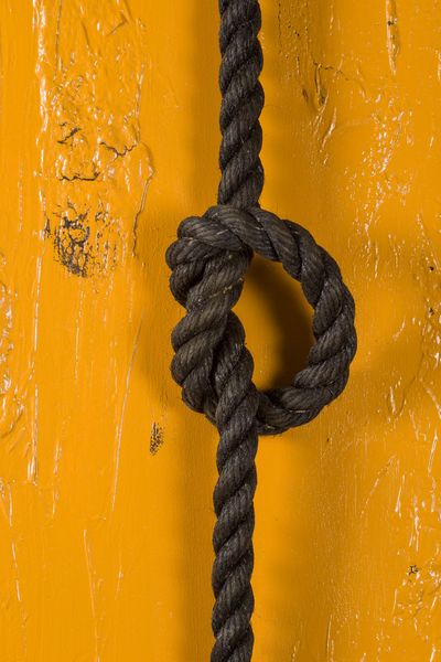 Paul Charmant : Noeud noir  - Asta Opere di arte moderna e dalla Collezione di Eugenio Battisti - Associazione Nazionale - Case d'Asta italiane