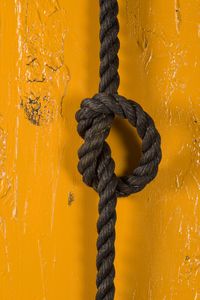 Paul Charmant : Noeud noir  - Asta Opere di arte moderna e dalla Collezione di Eugenio Battisti - Associazione Nazionale - Case d'Asta italiane