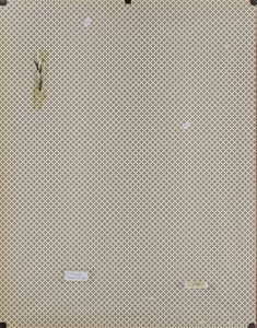 Josef Brandl : Senza titolo  - Asta Opere di arte moderna e dalla Collezione di Eugenio Battisti - Associazione Nazionale - Case d'Asta italiane