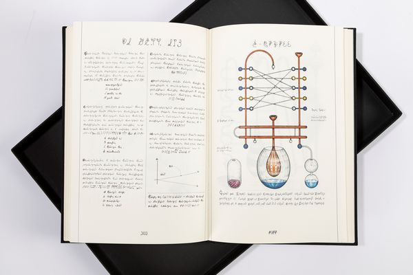 Luigi Serafini : Codex Seraphinianus, vol. I e vol. II  - Asta Off Season / Arte Moderna e Contemporanea - Associazione Nazionale - Case d'Asta italiane