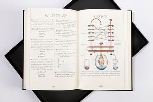 Luigi Serafini - Codex Seraphinianus, vol. I e vol. II