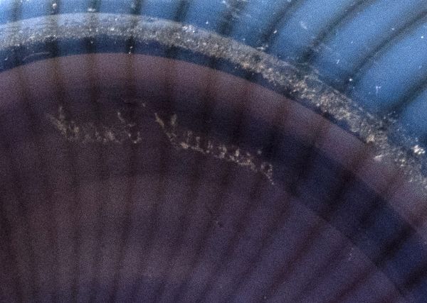 Vaso in vetro di Murano a canne blu e nere, VeArt, anni '80 del Novecento  - Asta Incanti d'arte - Associazione Nazionale - Case d'Asta italiane