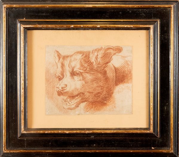 Scuola italiana, secolo XVIII : Studio per testa di cane  - Asta Incanti d'arte - Associazione Nazionale - Case d'Asta italiane