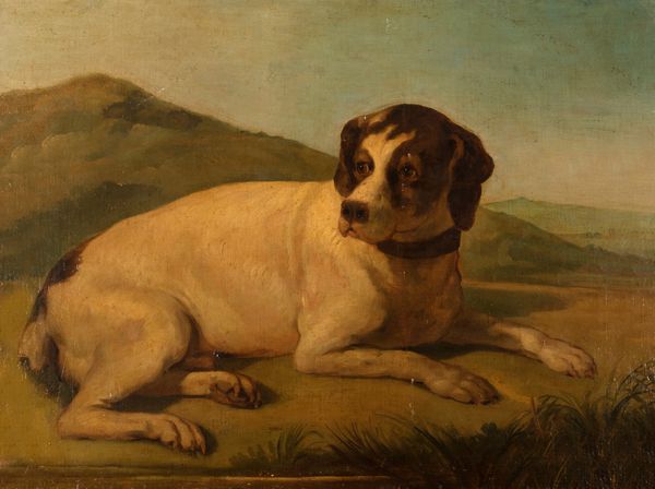 Scuola italiana secolo XIX : Cane a riposo  - Asta Incanti d'arte - Associazione Nazionale - Case d'Asta italiane