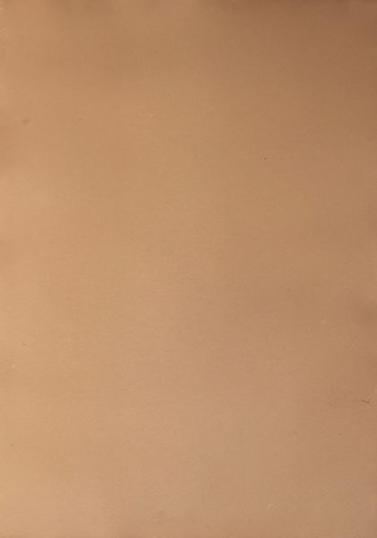 Scuola italiana, secolo XX : Ritratto di signora in un interno  - Asta Incanti d'arte - Associazione Nazionale - Case d'Asta italiane