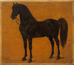 Scuola europea, secolo XIX - Studio di cavallo baio