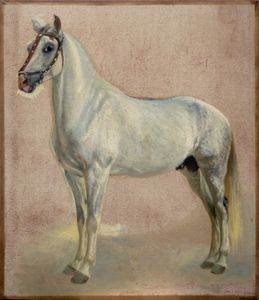 Scuola europea, fine del secolo XIX - inizi del secolo XX - Studio di cavallo bianco