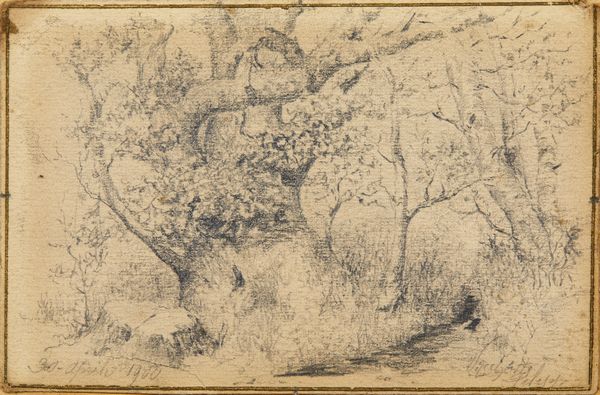 VACCHETTI FILIPPO  (1873 - 1945) : Studio per paesaggio alberato  - Asta Asta 395 | ARTE ANTICA E DEL XIX SECOLO Online - Associazione Nazionale - Case d'Asta italiane