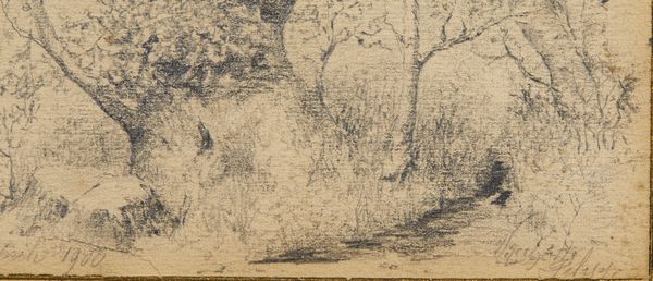 VACCHETTI FILIPPO  (1873 - 1945) : Studio per paesaggio alberato  - Asta Asta 395 | ARTE ANTICA E DEL XIX SECOLO Online - Associazione Nazionale - Case d'Asta italiane