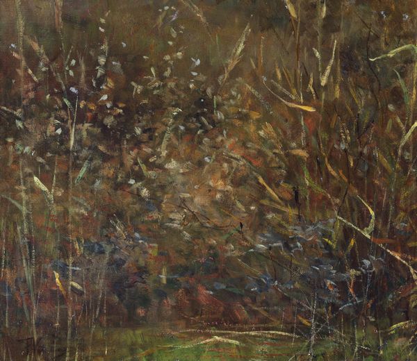 VITALINI FRANCESCO (1865 - 1905) : Paesaggio fluviale  - Asta Asta 395 | ARTE ANTICA E DEL XIX SECOLO Online - Associazione Nazionale - Case d'Asta italiane