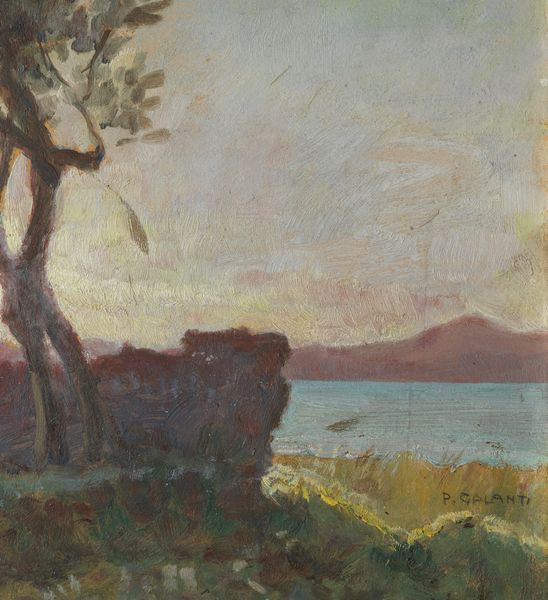 GALANTI PIERO (1885 - 1973) : Paesaggio lagunare con albero  - Asta Asta 395 | ARTE ANTICA E DEL XIX SECOLO Online - Associazione Nazionale - Case d'Asta italiane