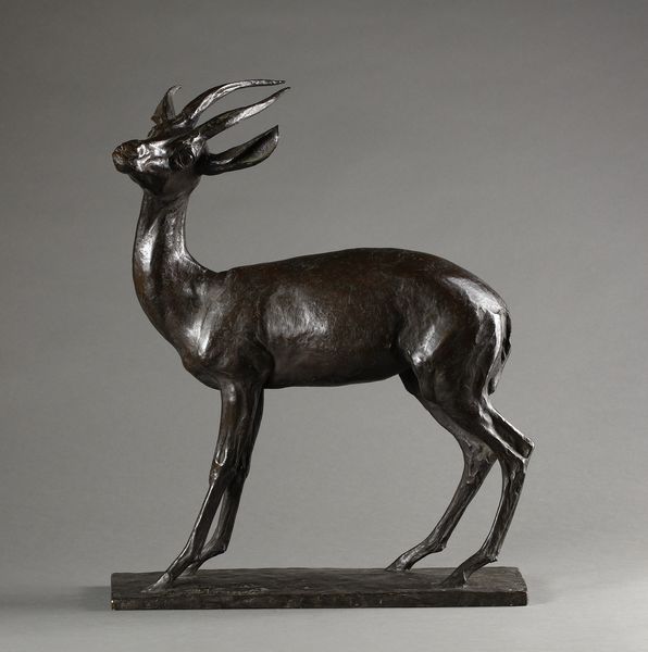 VANNETTI ANGIOLO (1881 - 1962) : Antilope  - Asta Asta 395 | ARTE ANTICA E DEL XIX SECOLO Online - Associazione Nazionale - Case d'Asta italiane