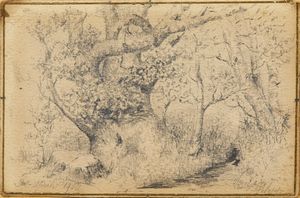 VACCHETTI FILIPPO  (1873 - 1945) - Studio per paesaggio alberato