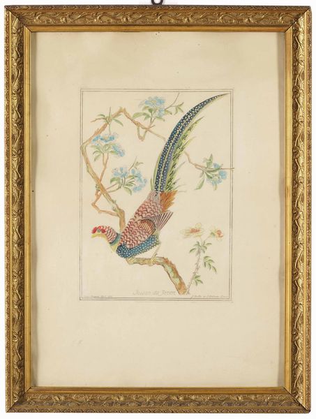 Incisione raffigurante uccello in stile orientale in cornice  - Asta Antiquariato febbraio - Associazione Nazionale - Case d'Asta italiane
