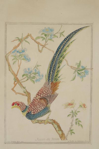 Incisione raffigurante uccello in stile orientale in cornice  - Asta Antiquariato febbraio - Associazione Nazionale - Case d'Asta italiane