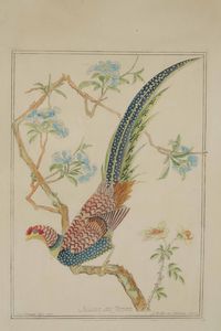 Incisione raffigurante uccello in stile orientale in cornice  - Asta Antiquariato febbraio - Associazione Nazionale - Case d'Asta italiane