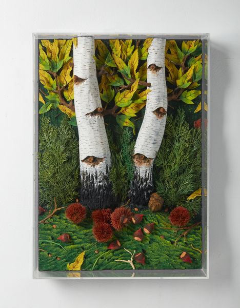 GILARDI  PIERO (n. 1942) : Betulle e castagne.  - Asta Asta 396 | ARTE MODERNA E CONTEMPORANEA Online - Associazione Nazionale - Case d'Asta italiane