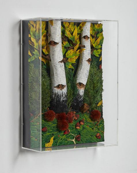 GILARDI  PIERO (n. 1942) : Betulle e castagne.  - Asta Asta 396 | ARTE MODERNA E CONTEMPORANEA Online - Associazione Nazionale - Case d'Asta italiane