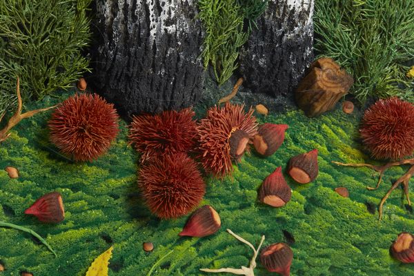 GILARDI  PIERO (n. 1942) : Betulle e castagne.  - Asta Asta 396 | ARTE MODERNA E CONTEMPORANEA Online - Associazione Nazionale - Case d'Asta italiane