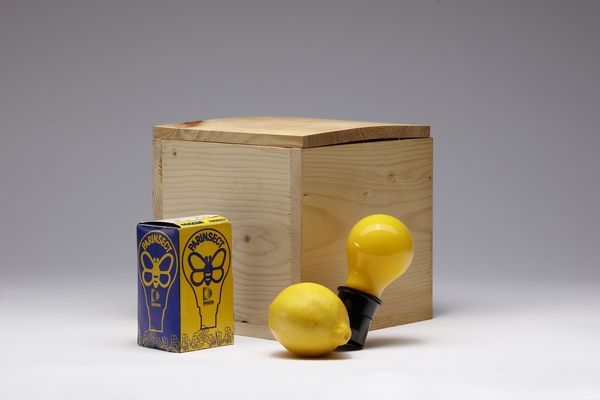 BEUYS JOSEPH (1921 - 1986) : Capri-Batterie.  - Asta Asta 396 | ARTE MODERNA E CONTEMPORANEA Online - Associazione Nazionale - Case d'Asta italiane