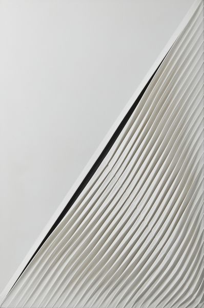 STEVOLI NANDO (n. 1953) : Pliss�.  - Asta Asta 396 | ARTE MODERNA E CONTEMPORANEA Online - Associazione Nazionale - Case d'Asta italiane