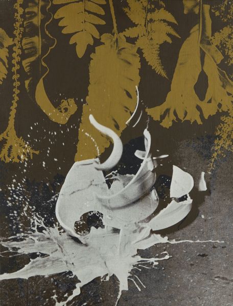 SCHOLTE ROB (n. 1958) : Tartufo 2.1.  - Asta Asta 396 | ARTE MODERNA E CONTEMPORANEA Online - Associazione Nazionale - Case d'Asta italiane