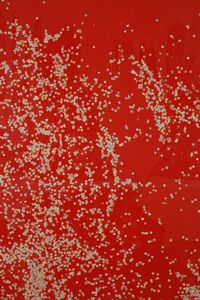 FESTA TANO (1938 - 1988) : Coriandolo.  - Asta Asta 396 | ARTE MODERNA E CONTEMPORANEA Online - Associazione Nazionale - Case d'Asta italiane