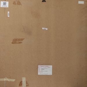 AUBERTIN BERNARD (1934 - 2015) : Monorosso.  - Asta Asta 396 | ARTE MODERNA E CONTEMPORANEA Online - Associazione Nazionale - Case d'Asta italiane