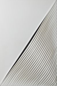 STEVOLI NANDO (n. 1953) - Pliss�.