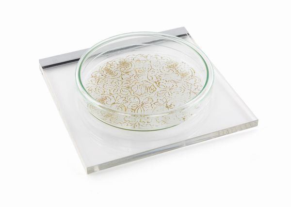 Maria Elisabetta Novello : Senza titolo  - Asta Arte moderna e contemporanea - Associazione Nazionale - Case d'Asta italiane