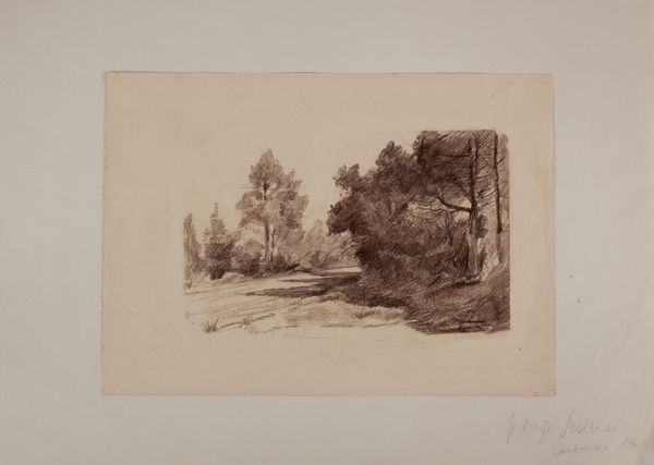 Federigo Severini : San Rossore  - Asta Arte moderna e contemporanea - Associazione Nazionale - Case d'Asta italiane