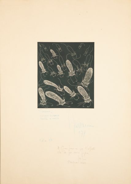 Anonimo del XX secolo : Acquaforte raffigurante gatti su sfondo blu  - Asta Arte moderna e contemporanea - Associazione Nazionale - Case d'Asta italiane