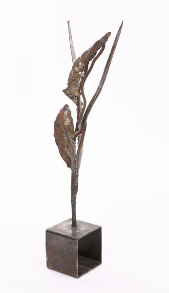 Nino Franchina : Coquille  - Asta Arte moderna e contemporanea - Associazione Nazionale - Case d'Asta italiane