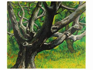 Renato Guttuso - Ulivi