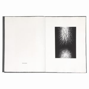 DUE VOLUMI CONTENENTI INCISIONI  - Asta Arte moderna e contemporanea  - Associazione Nazionale - Case d'Asta italiane