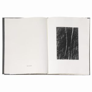 DUE VOLUMI CONTENENTI INCISIONI  - Asta Arte moderna e contemporanea  - Associazione Nazionale - Case d'Asta italiane
