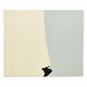 Bonfanti Arturo - ARTURO BONFANTI