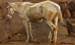 Ruggero Panerai - Cavallo bianco