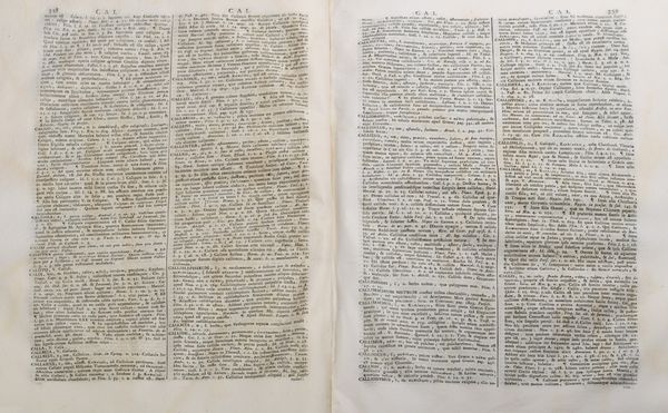 Jacopo Facciolati, : Totius Latinitatis Lexicon  - Asta Libri, Autografi e Stampe - Associazione Nazionale - Case d'Asta italiane